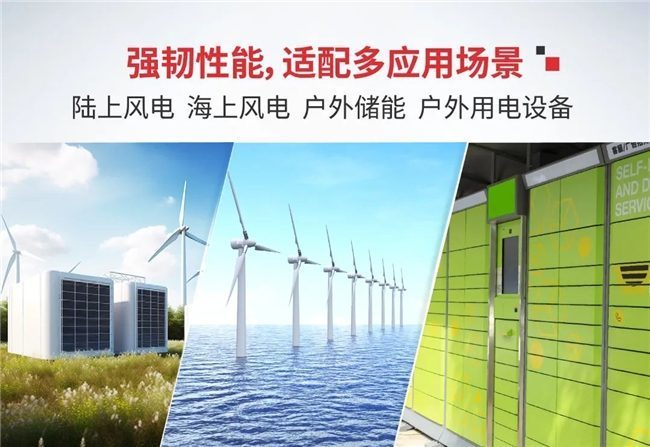 1737618175-08b4b2090c10f9f 1737618175-08b4b2090c10f9f